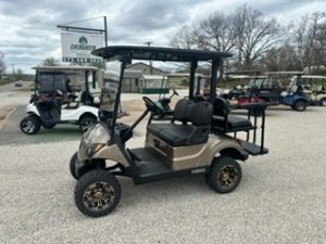 2021 Yamaha Drive 2 Gas EFI